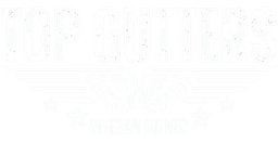 Top Gutters